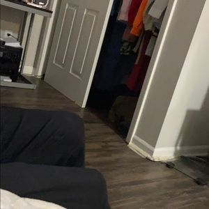 Meet your Posher, Daisy